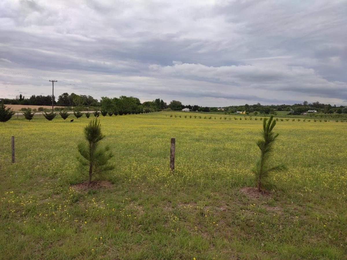 Tierra De Inmigrantes Villa Baradero Buitenkant foto