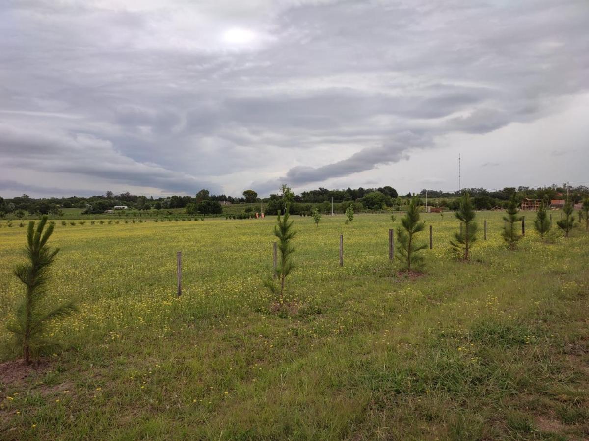 Tierra De Inmigrantes Villa Baradero Buitenkant foto